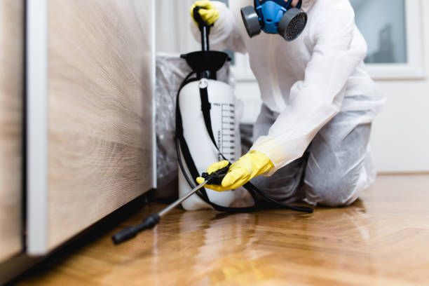 Best Pest Prevention Services  in Fox Farm College, WY