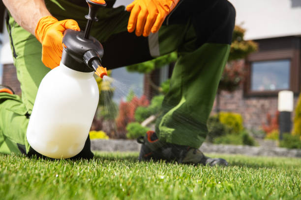 Best Insect Control  in Fox Farm College, WY