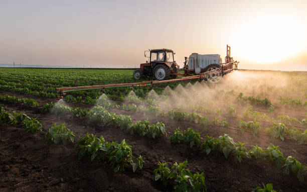 Best Best Pest Control Companies  in Fox Farm College, WY