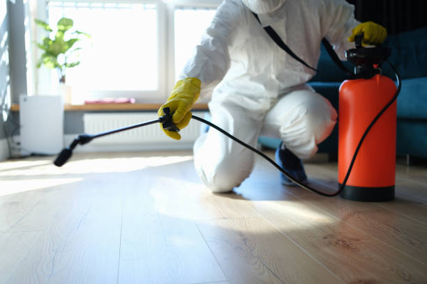 Best Flea Control Services  in Fox Farm College, WY