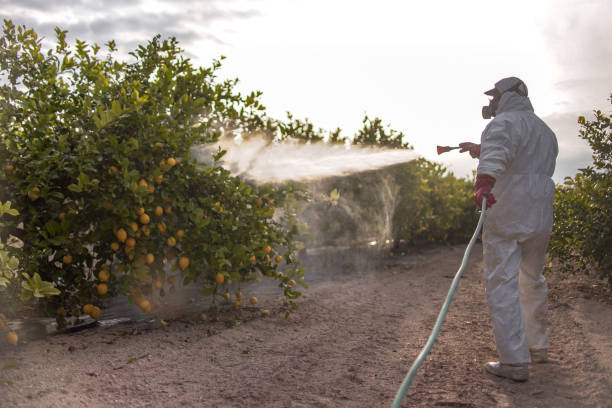 Wildlife Control Services in Fox Farm College, WY