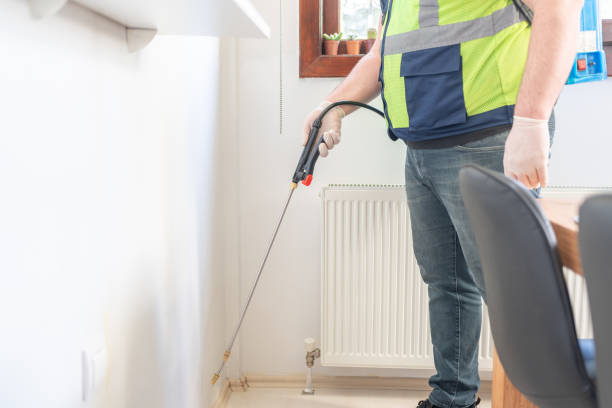 Wasp Removal Services in Fox Farm College, WY
