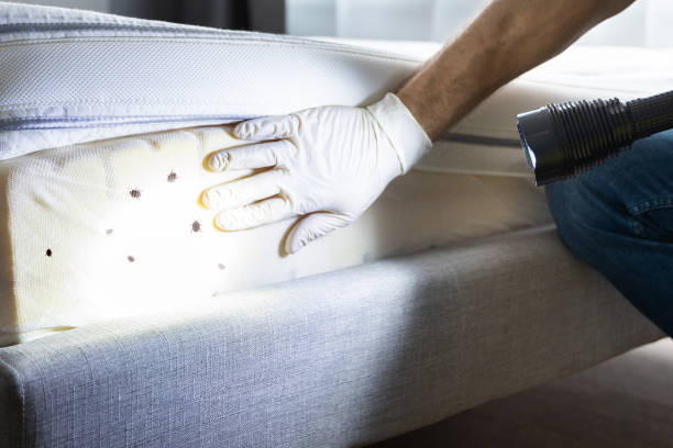 Best Pest Removal Services  in Fox Farm College, WY