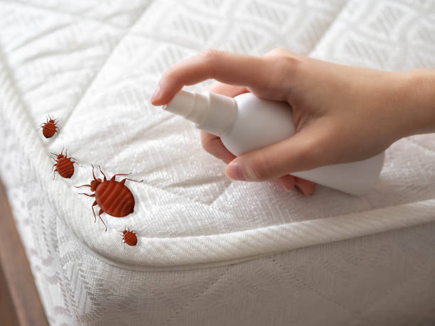 Best Affordable Pest Control Services  in Fox Farm College, WY