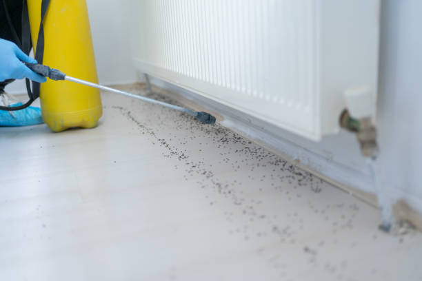 Best Local Pest Control Services  in Fox Farm College, WY