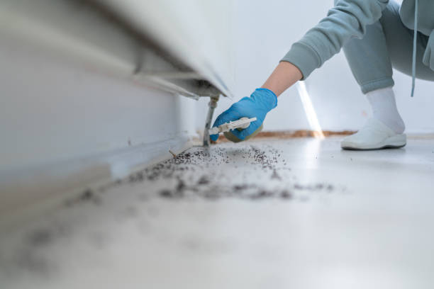 Best Ant Control Services  in Fox Farm College, WY