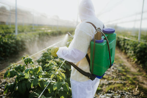 Best Bed Bug Extermination  in Fox Farm College, WY